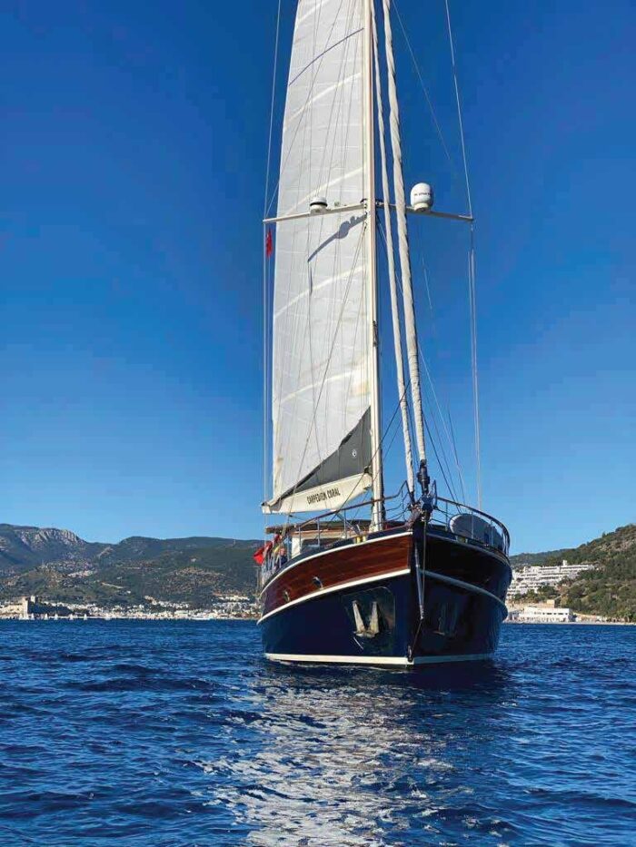 Carpe Diem Coral Yacht - Image 2