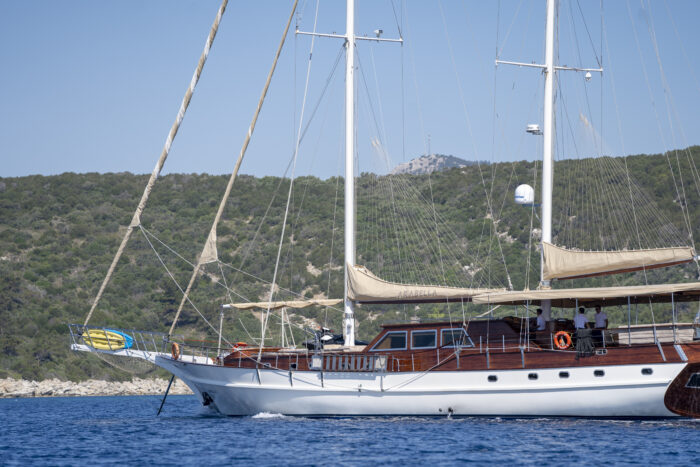 Arabella - Image 8
