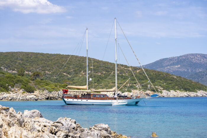 Arabella - Image 9