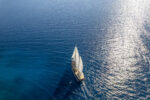 Arabella - Image 27