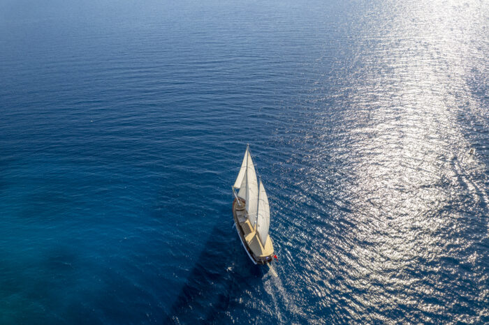 Arabella - Image 27