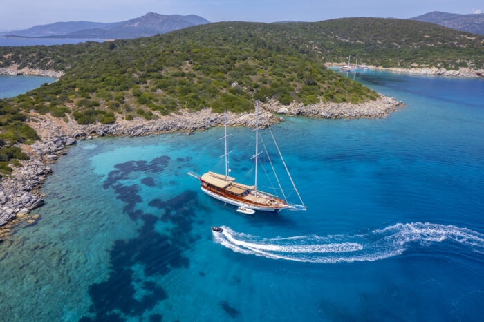 Arabella - Image 29