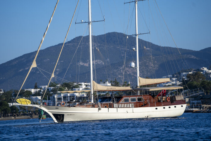 Arabella - Image 7