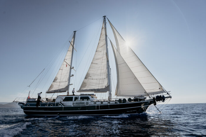 Dea Del Mare - Image 10